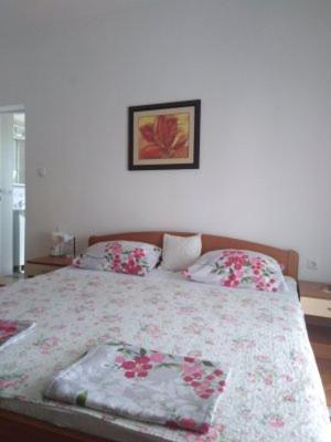 Apartments Medici ซาโอสโตรก ภายนอก รูปภาพ